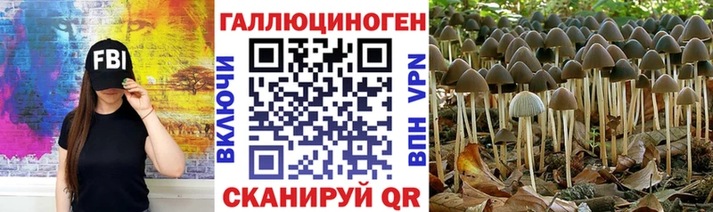 Псилоцибиновые грибы Cubensis  Тетюши 